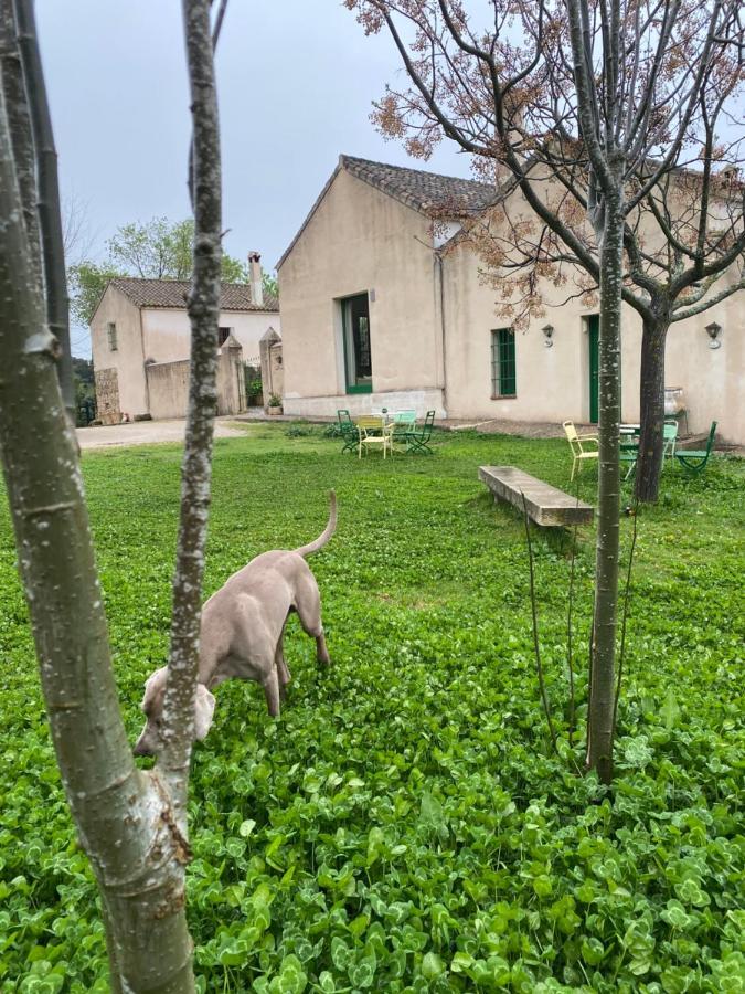 Casa Rural El Vihuelo Hotel El Bosque Exterior foto