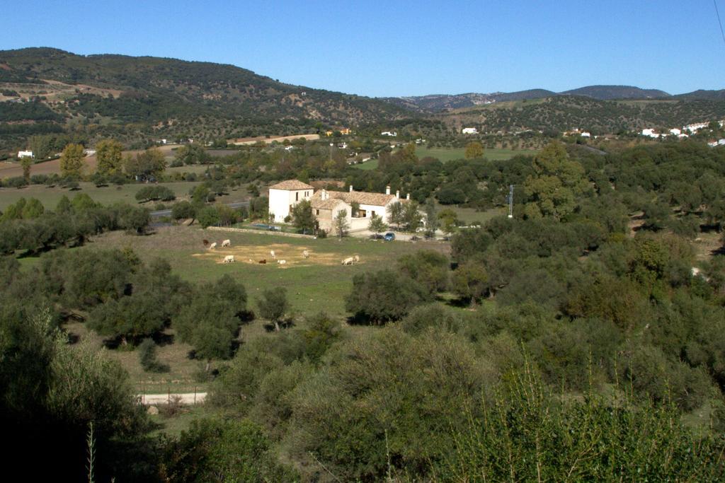 Casa Rural El Vihuelo Hotel El Bosque Exterior foto